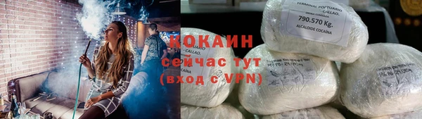 прущие грибы Красноперекопск