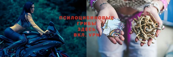 эйфоретик Кукмор