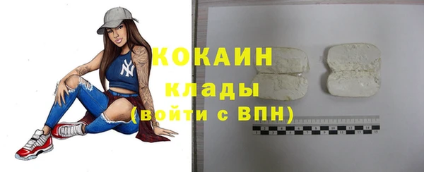 эйфоретик Кукмор