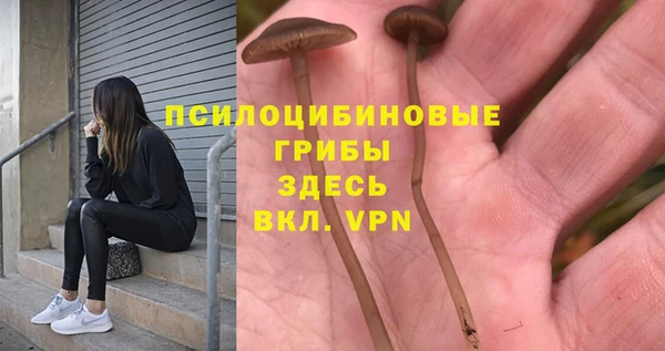 apvp Лагань
